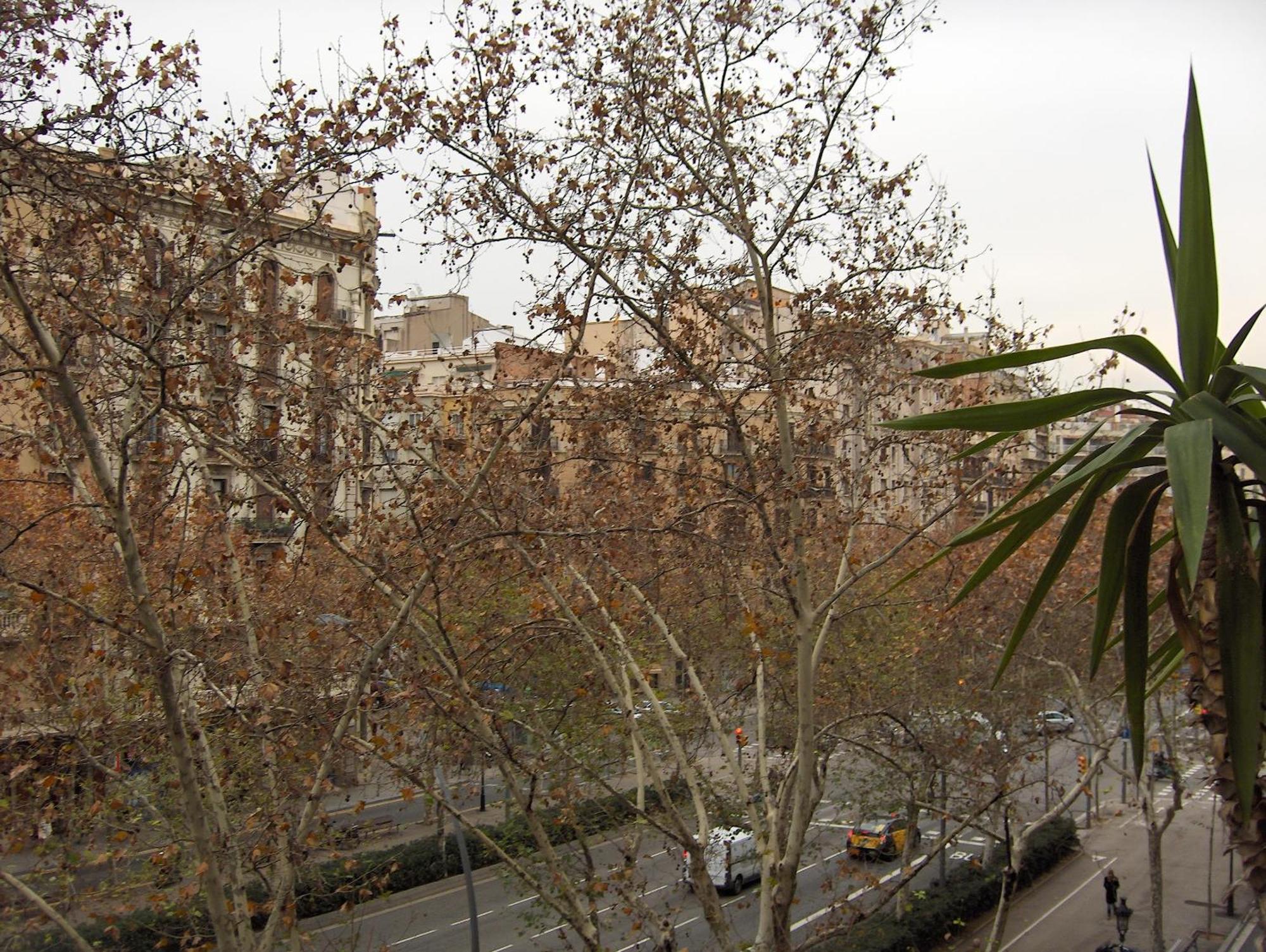 Hostel Des Artistes